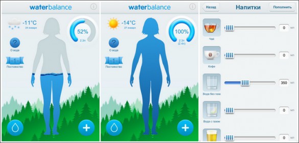 Уровень водного баланса показывается не в виду скучных статистических столбиков, а в виде женской или мужской фигурки, заполненной водой на определенный процент