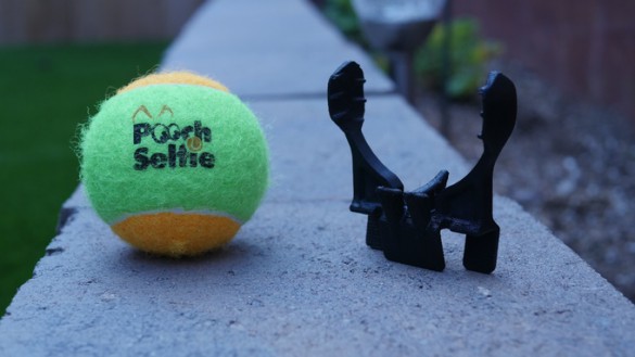 Pooch Selfie-4