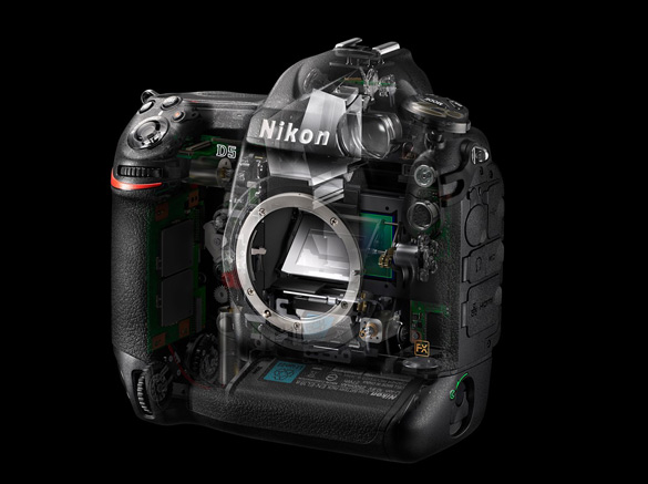 Зеркалка Nikon D5