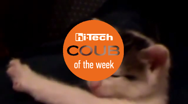 coub of the week 20-020-16