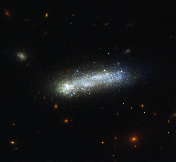 LEDA 36252, a cosmic tadpole