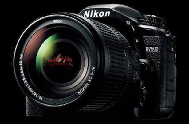 Внешний вид Nikon D7500, согласно утечкам информации