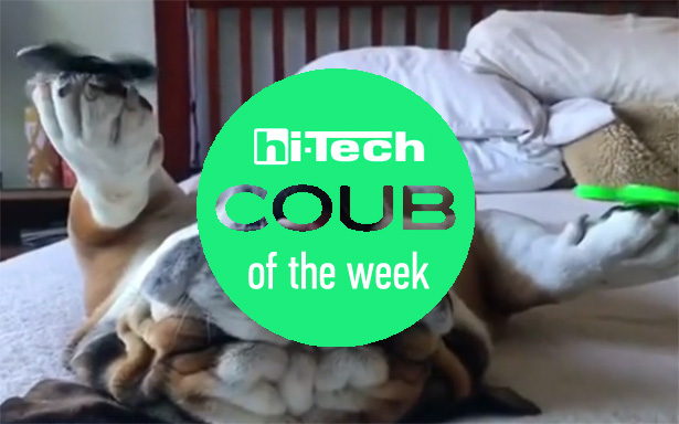 coub of the week 9-09-17