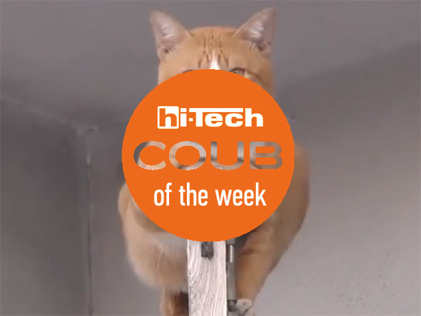 coub of the week ht-ua 23-09-17