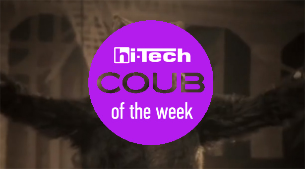 coub of the week 11-11-17 ht-ua