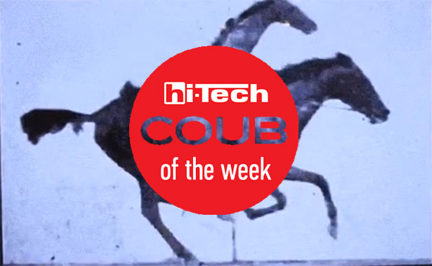 coub of the week 17-02-18