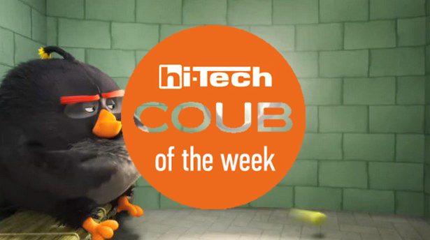 coub of the week