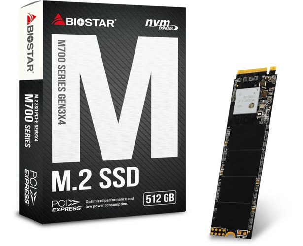 Biostar M700