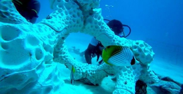 coral reef 3d print