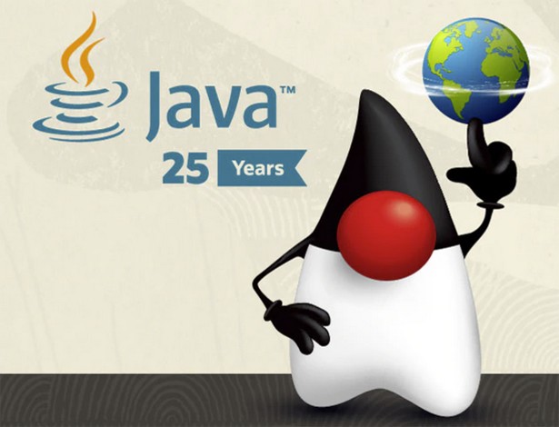 Java 25 years