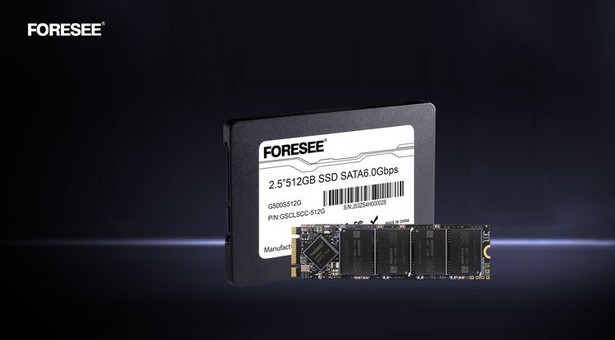 SSD Longsys G500