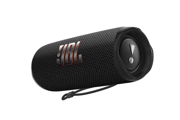 JBL Flip 6