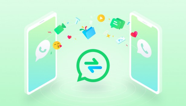 WhatsApp backup