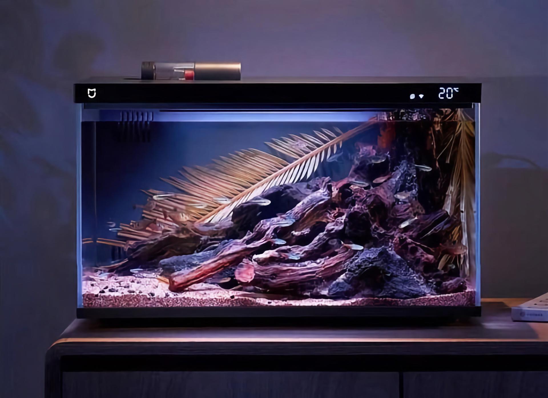 Smart fish tank