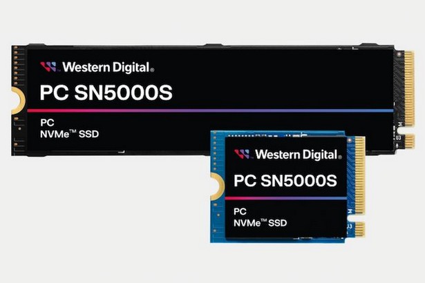 WD PC SN5000S