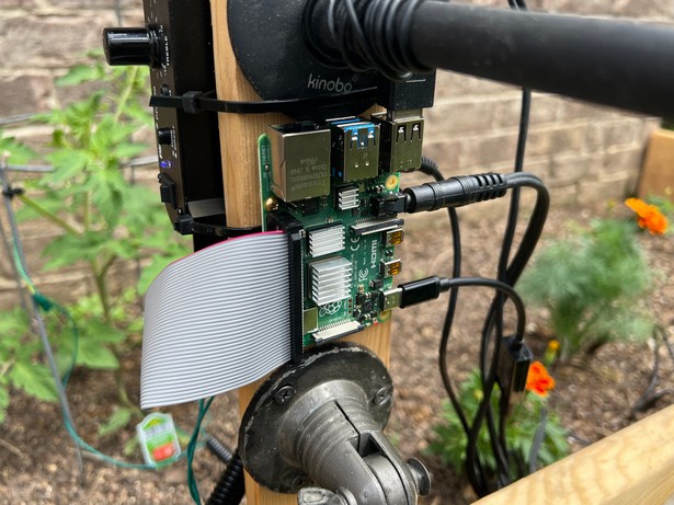 A plant with sensors and a Raspberry Pi pc tells about its well-being with Chat GPT-4o