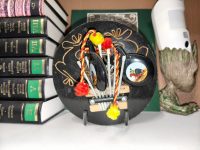 photo by oppo reno14