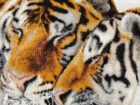 photo by oppo reno14