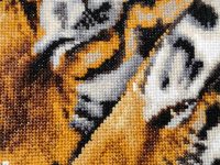 photo by oppo reno14