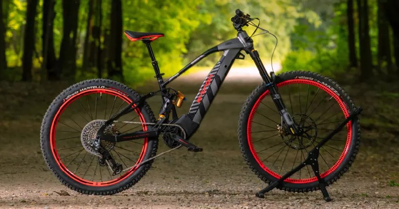 Audi eMTB 2.0