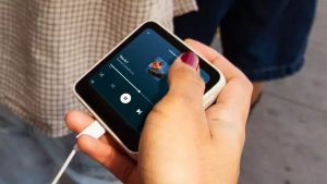 The Meadow: телефон для тех, кто хочет отключиться от цифрового мира и готов за это платить