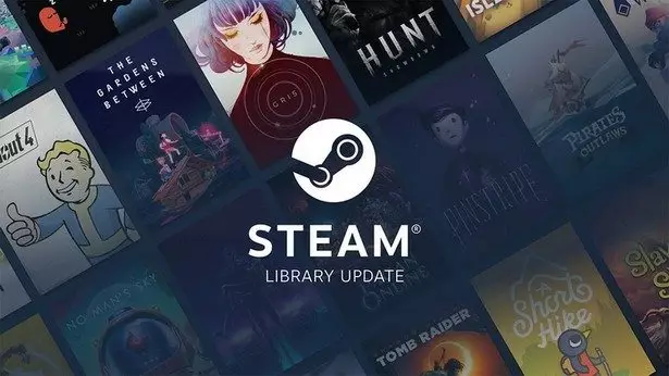 Steam Libray