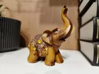 photo by oppo reno14