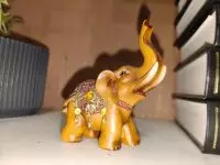 photo by oppo reno14