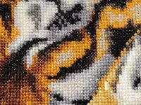 photo by oppo reno14