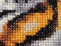 photo by oppo reno14