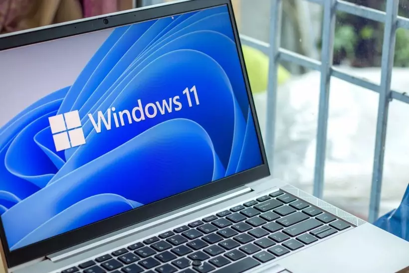 Windows 11
